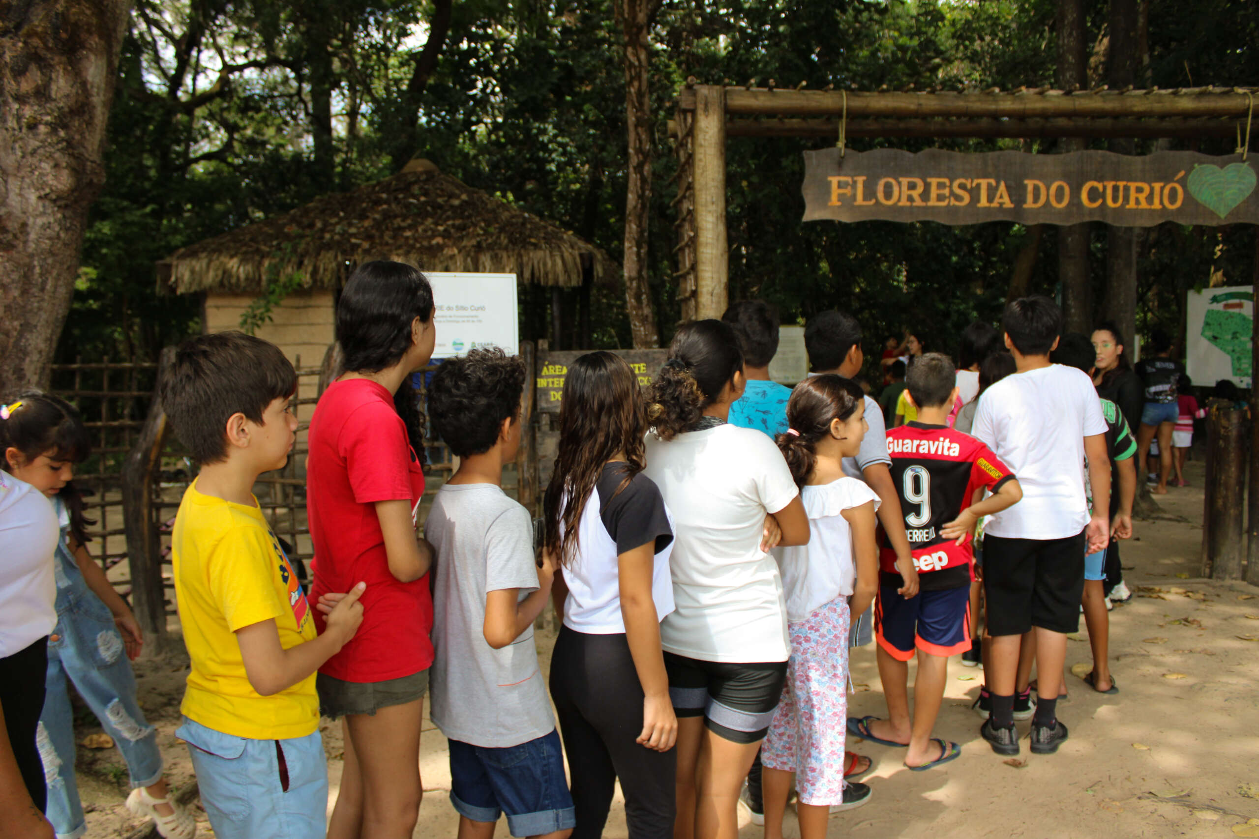 Campeonato Feminino de Xadrez segue neste fim de semana - Portal da Floresta